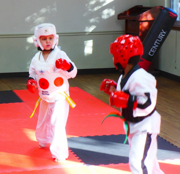 Try a Free Taekwondo Class for 4 to 5 year olds