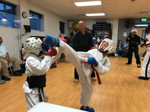 Try a Free Taekwondo Class for 6 to Adult  beginners